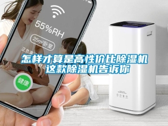 行業新聞怎樣才算是高性價比除濕機 這款除濕機告訴你