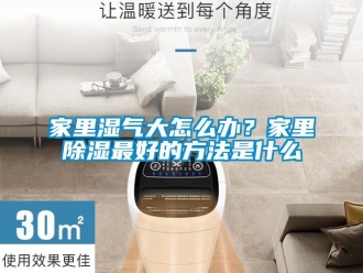 企業(yè)新聞家里濕氣大怎么辦？家里除濕最好的方法是什么