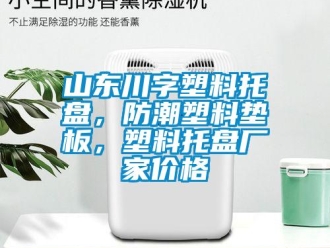 常見問題山東川字塑料托盤，防潮塑料墊板，塑料托盤廠家價格